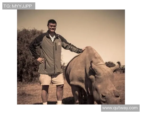 飞扣姚明的传奇时刻：重温篮球巨星的辉煌与激情